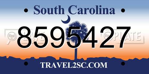 8595427 South Carolina License Plate