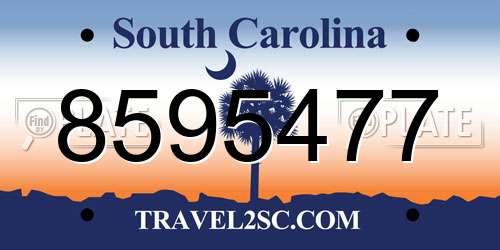 8595477 South Carolina License Plate