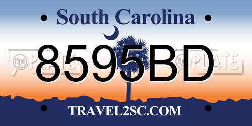 8595BD South Carolina License Plate