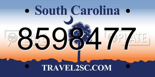 8598477 South Carolina License Plate