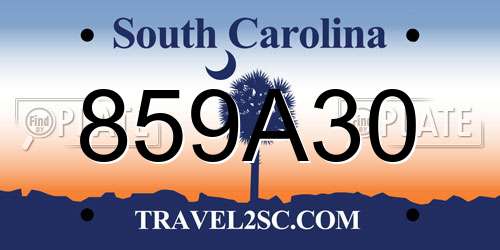 859A30 South Carolina License Plate