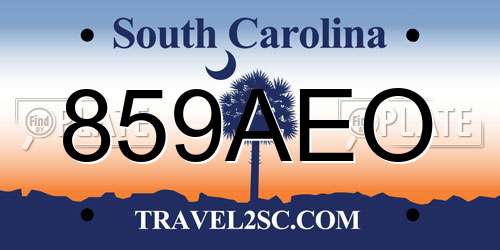 859AEO South Carolina License Plate
