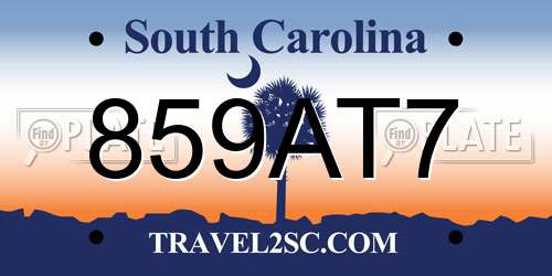 859AT7 South Carolina License Plate