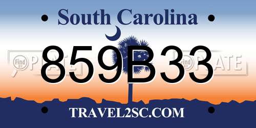 859B33 South Carolina License Plate