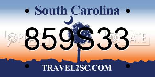 859S33 South Carolina License Plate