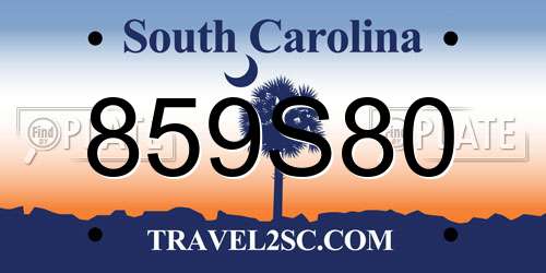 859S80 South Carolina License Plate