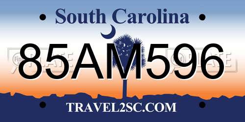 85AM596 South Carolina License Plate