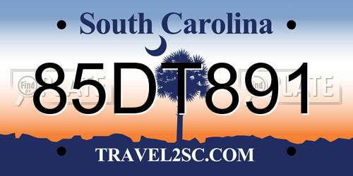 85DT891 South Carolina License Plate