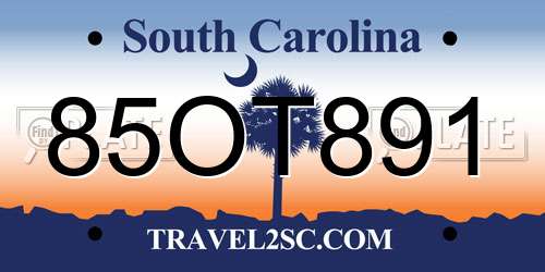 85OT891 South Carolina License Plate