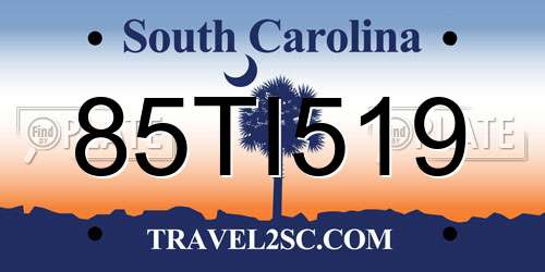 85TI519 South Carolina License Plate