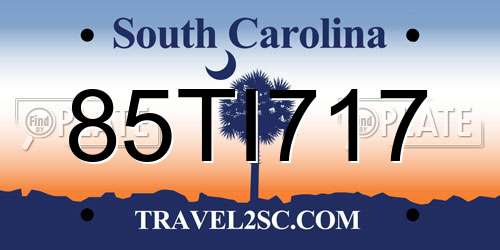 85TI717 South Carolina License Plate