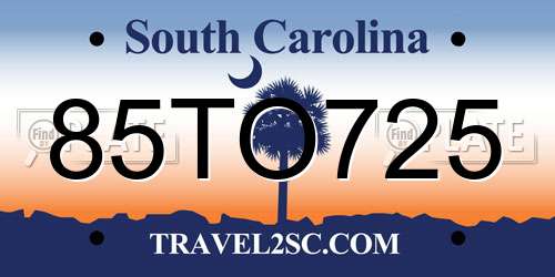 85TO725 South Carolina License Plate