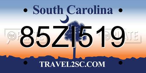 85ZI519 South Carolina License Plate