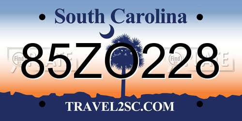 85ZO228 South Carolina License Plate
