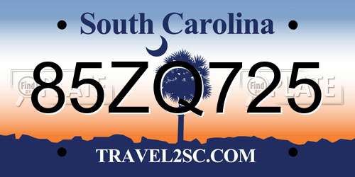85ZQ725 South Carolina License Plate