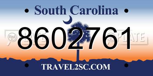 8602761 South Carolina License Plate