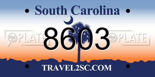 8603 South Carolina License Plate