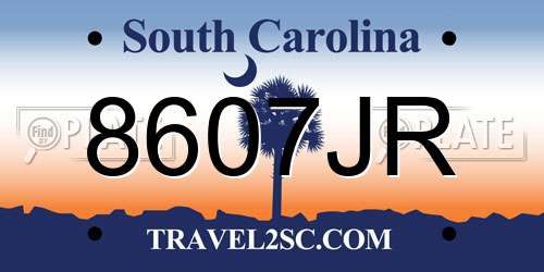 8607JR South Carolina License Plate