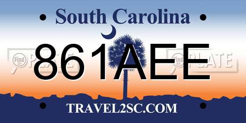 861AEE South Carolina License Plate