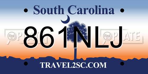 861NLJ South Carolina License Plate