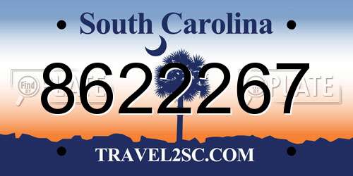 8622267 South Carolina License Plate