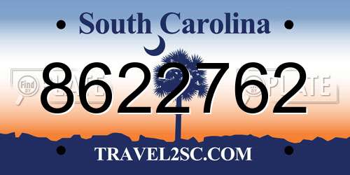 8622762 South Carolina License Plate