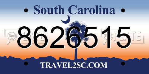 8626515 South Carolina License Plate