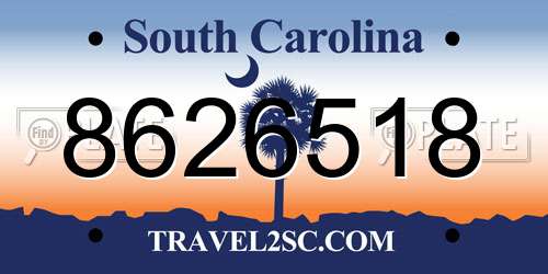 8626518 South Carolina License Plate