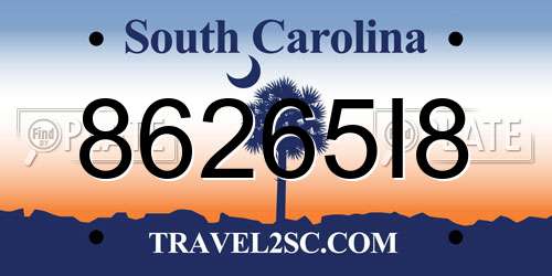 86265I8 South Carolina License Plate