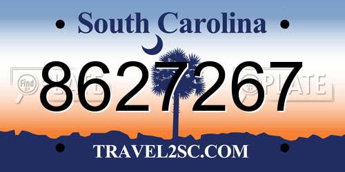 8627267 South Carolina License Plate