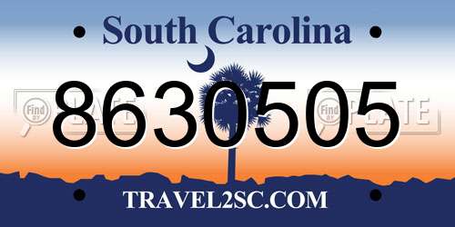8630505 South Carolina License Plate