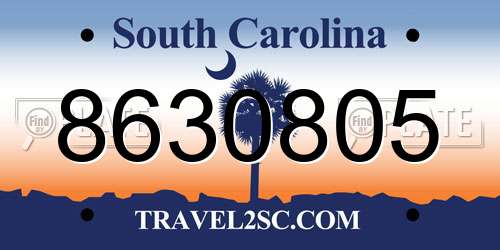 8630805 South Carolina License Plate