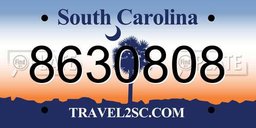 8630808 South Carolina License Plate