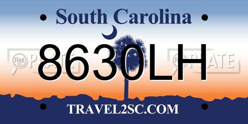 8630LH South Carolina License Plate