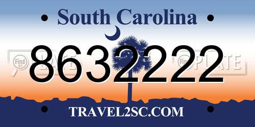8632222 South Carolina License Plate