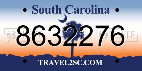 8632276 South Carolina License Plate