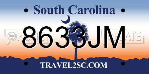 8633JM South Carolina License Plate