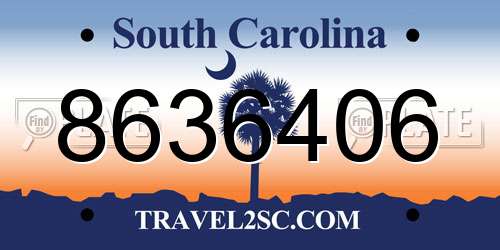 8636406 South Carolina License Plate
