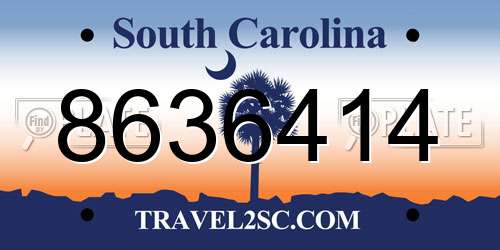 8636414 South Carolina License Plate