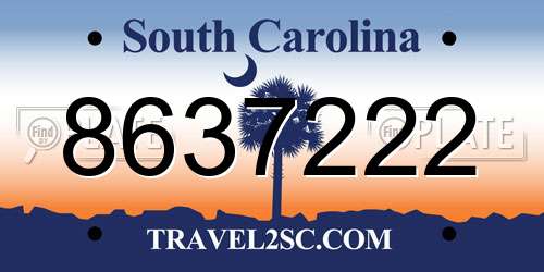 8637222 South Carolina License Plate