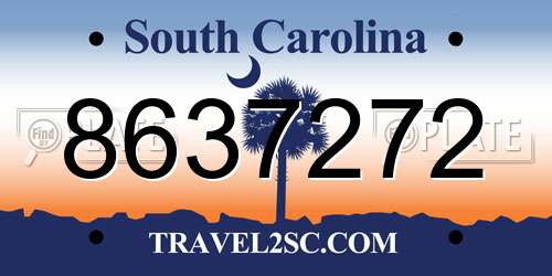 8637272 South Carolina License Plate