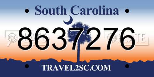 8637276 South Carolina License Plate