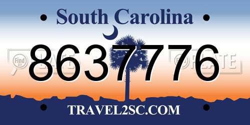 8637776 South Carolina License Plate