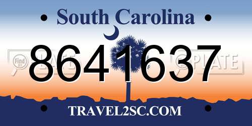 8641637 South Carolina License Plate