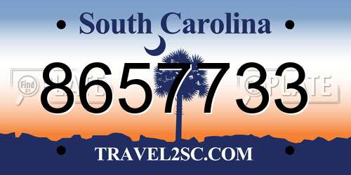 8657733 South Carolina License Plate