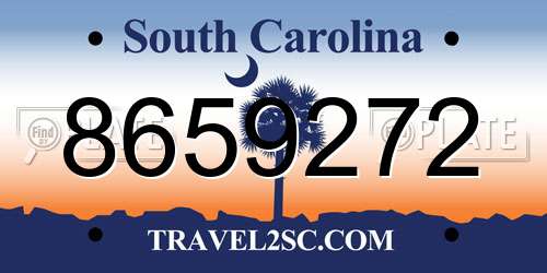8659272 South Carolina License Plate