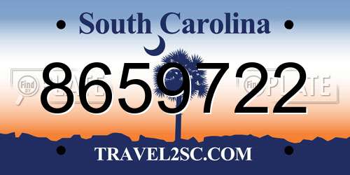 8659722 South Carolina License Plate