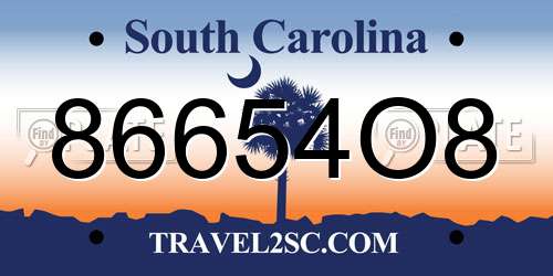 86654O8 South Carolina License Plate