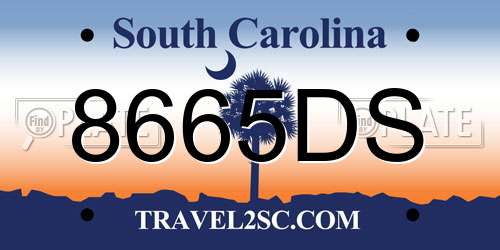 8665DS South Carolina License Plate