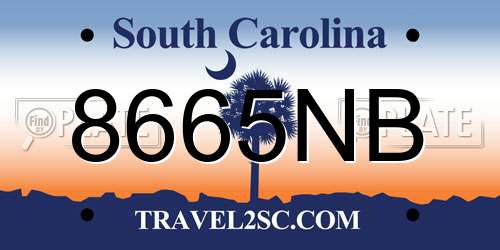 8665NB South Carolina License Plate
